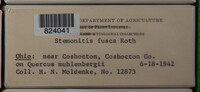 Stemonitis fusca image